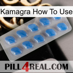 Kamagra How To Use 22